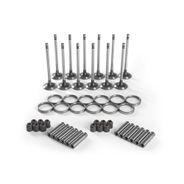 Kit de Válvulas de Admissão, Assento, Guia e Retentor para Caminhões Volvo VM - 85146004