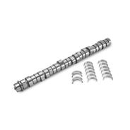 Eixo comando de válvulas para Caminhões Volvo FM - Reman 85030954